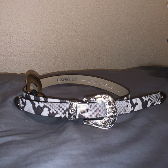 Snake patterned belt - Picture 4 of 4